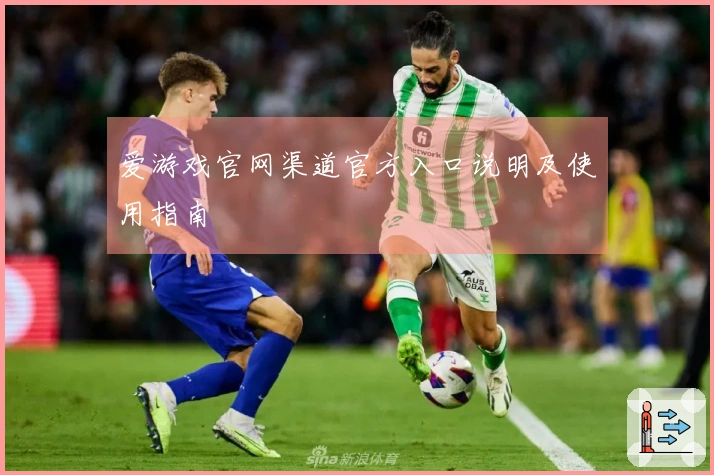 爱游戏官网渠道官方入口说明及使用指南