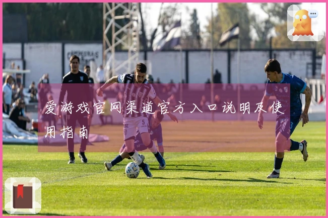 爱游戏官网渠道官方入口说明及使用指南