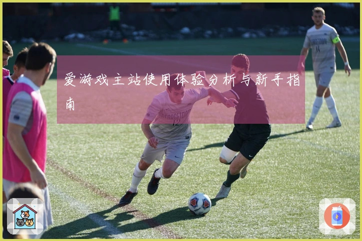 爱游戏主站使用体验分析与新手指南