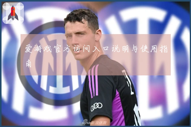 爱游戏官方访问入口说明与使用指南