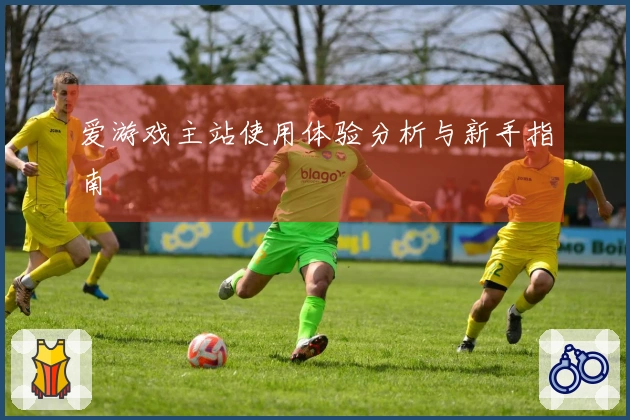 爱游戏主站使用体验分析与新手指南